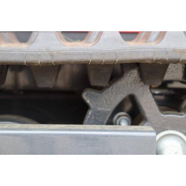 Schorr OTHERS-46773159