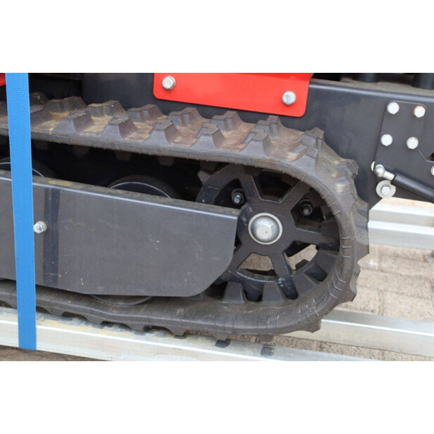 Schorr OTHERS-46773160