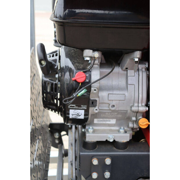 Schorr OTHERS-46773164