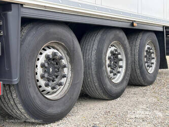 2019-schmitz-cargobull-others-1445853-46778093