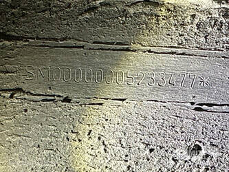 2019-schmitz-cargobull-others-1445905-46779637