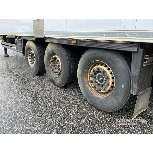 2017 شميتز كارجوبول OTHERS-46784115