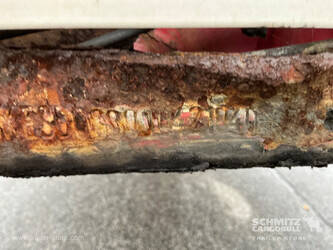 2009-krone-others-1446098-46784194