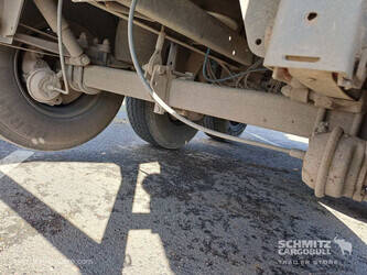 2018-langendorf-others-46784239