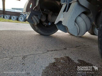 2020-schmitz-cargobull-others-1446249-46788541