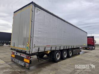 2013-koegel-others-1446374-46790290