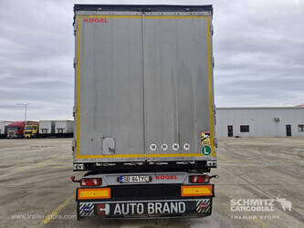 2013-koegel-others-1446374-46790292