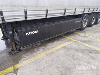 2013-koegel-others-1446374-46790293