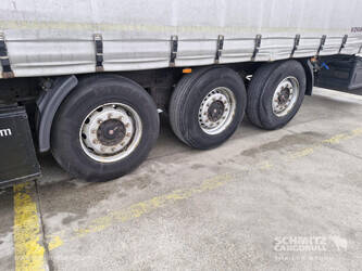 2013-koegel-others-1446374-46790294