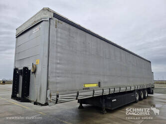 2013-koegel-others-1446375-46790300