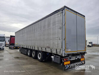 2013-koegel-others-1446375-46790302