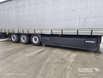 2013-koegel-others-1446375-46790304