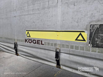 2013-koegel-others-1446375-46790306