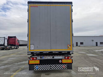 2014-koegel-others-1446379-46790348