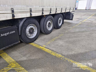 2014-koegel-others-1446379-46790351