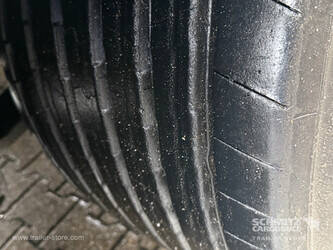 2018-schmitz-cargobull-others-1446424-46790897