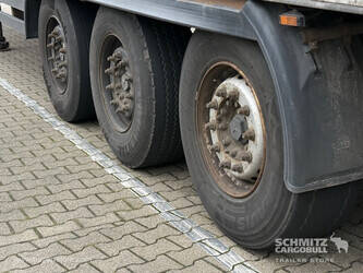 2007-koegel-others-1446448-46791200