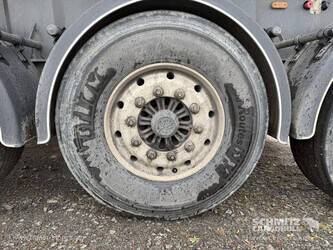 2021-carnehl-others-1446457-46791305