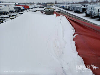 2019-carnehl-others-1446464-46791377