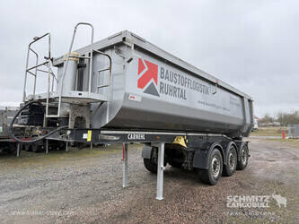 2021-carnehl-others-1446469-46791446