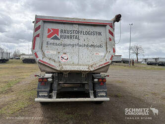 2021-carnehl-others-1446471-46791479