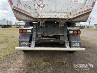 2021-carnehl-others-1446471-46791487