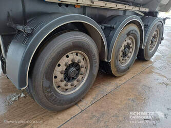 2021-carnehl-others-1446499-46791837