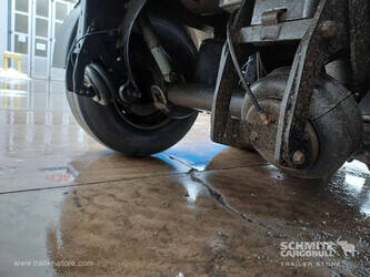 2021-carnehl-others-1446499-46791838