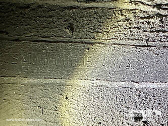 2020-schmitz-cargobull-others-1446582-46792850