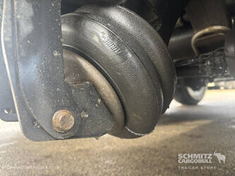 2021-carnehl-others-1446663-46794249