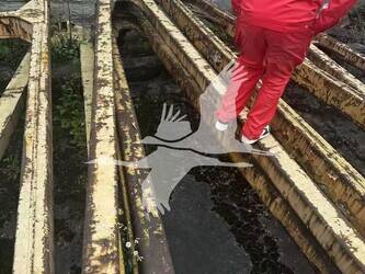 1997-caterpillar-572g-46806863