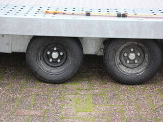 2025-temared-n-a-1447166-46809150