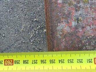 2006-kaiser-1447477-46832354