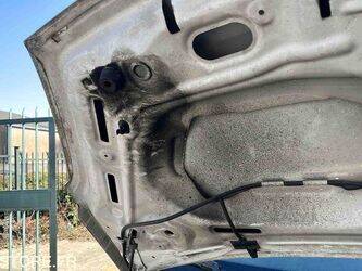 2011-citroen-berlingo-1447482-46832543