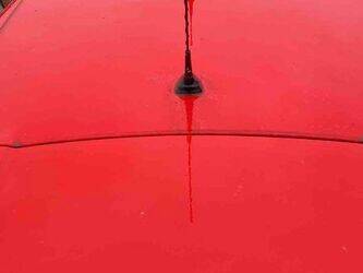 2014-renault-clio-1447511-46833635