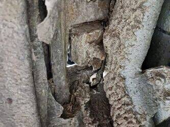 2012-renault-maxity-1447537-46834221