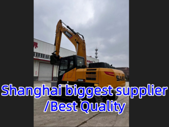 Image de PELLETEUSES 2025 Sany SY205H