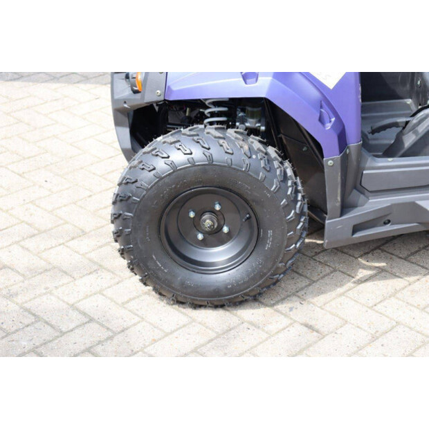 2024 Wextrem UTV-ATV 200PRO-46838312