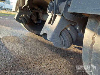 2018-schmitz-cargobull-others-1448052-46858628