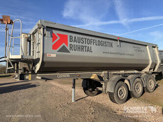 2021-carnehl-others-1448084-46859122