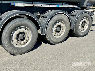 2021-carnehl-others-1448087-46859165