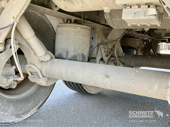 2021-carnehl-others-1448087-46859168