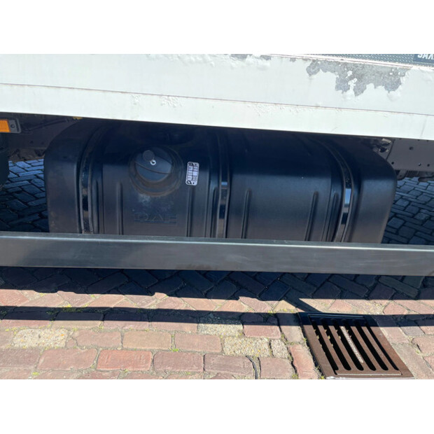 2023 DAF LF 230 FA-46859733