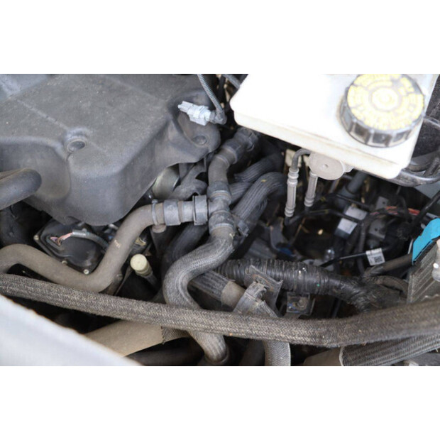 2021 رينو Master-46861392