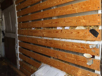 2019-fiat-ducato-1448159-46861429