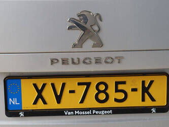 2019-peugeot-expert-traveller-46861673