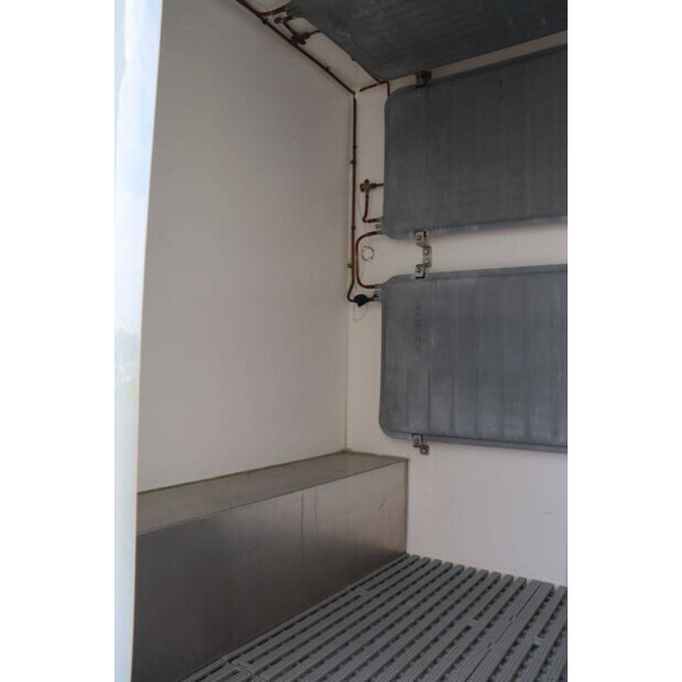 2020 رينو Master-46862109