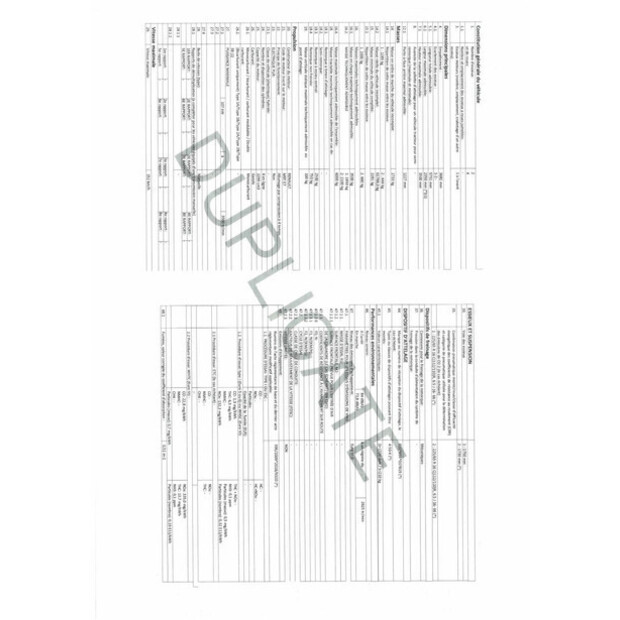 2020 رينو Master-46862121