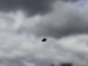 2018-citroen-jumper-1448205-46863507