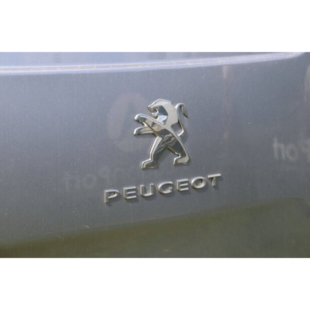 2021 بيجو Expert-46863573